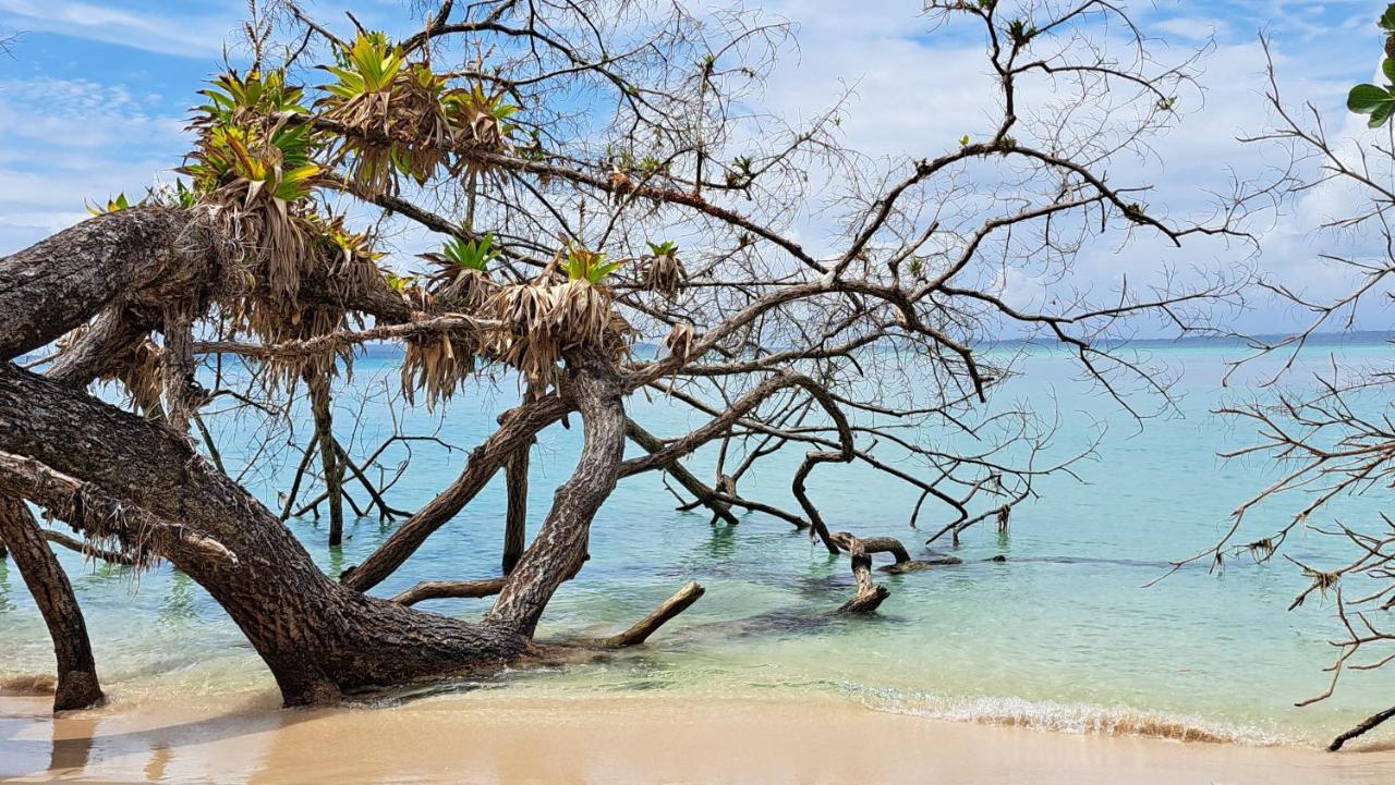 El Clandestino Villa Bocas del Toro Buitenkant foto